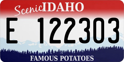 ID license plate E122303