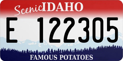 ID license plate E122305