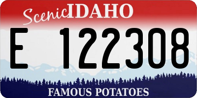 ID license plate E122308