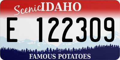 ID license plate E122309
