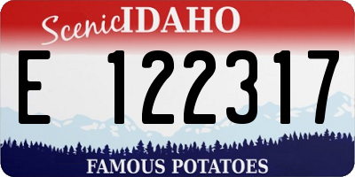 ID license plate E122317