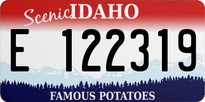 ID license plate E122319
