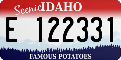 ID license plate E122331