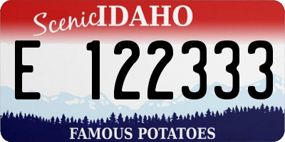 ID license plate E122333