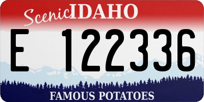 ID license plate E122336