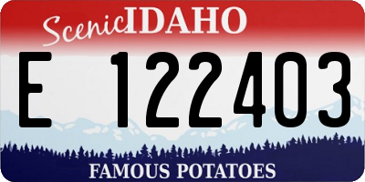 ID license plate E122403