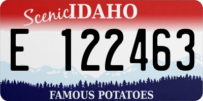ID license plate E122463