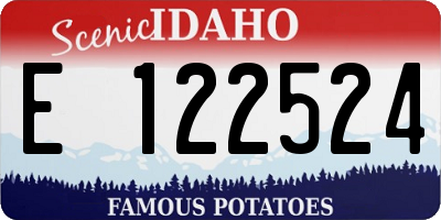 ID license plate E122524