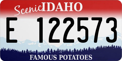 ID license plate E122573