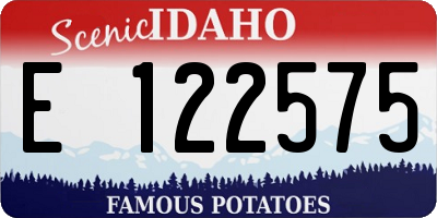 ID license plate E122575