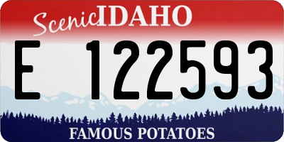 ID license plate E122593