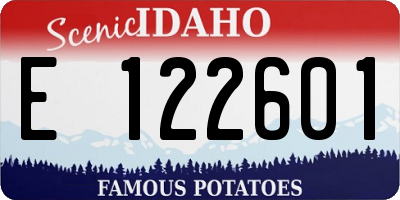 ID license plate E122601