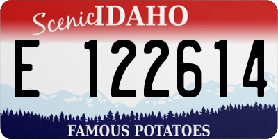 ID license plate E122614