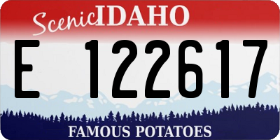 ID license plate E122617