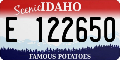 ID license plate E122650