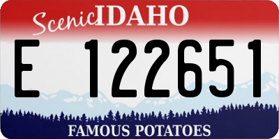 ID license plate E122651