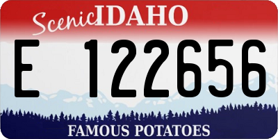 ID license plate E122656