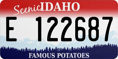 ID license plate E122687