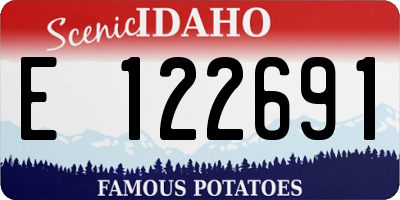 ID license plate E122691
