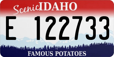 ID license plate E122733