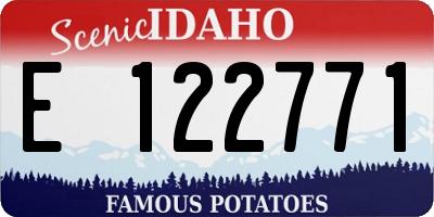 ID license plate E122771