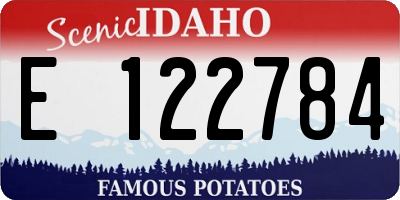 ID license plate E122784