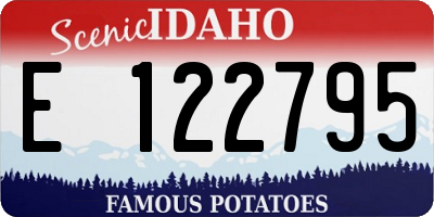 ID license plate E122795