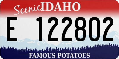ID license plate E122802