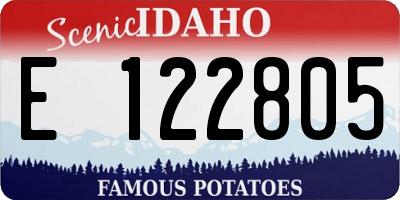 ID license plate E122805