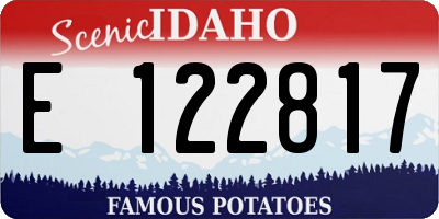 ID license plate E122817