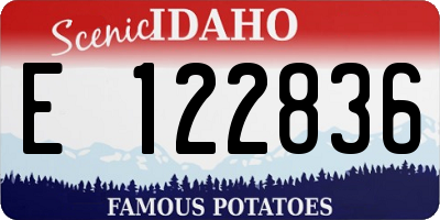 ID license plate E122836
