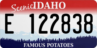 ID license plate E122838