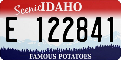 ID license plate E122841