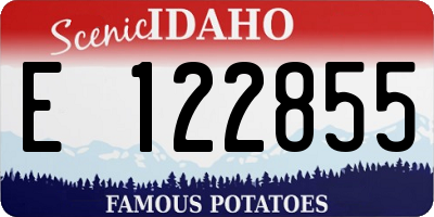 ID license plate E122855