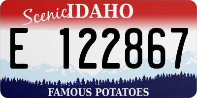ID license plate E122867