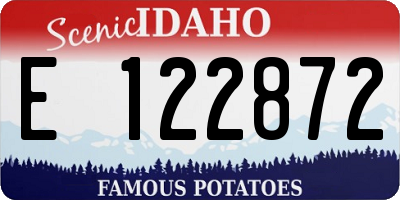 ID license plate E122872