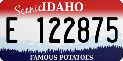 ID license plate E122875