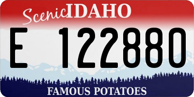 ID license plate E122880