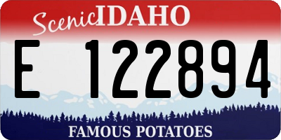 ID license plate E122894