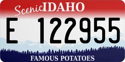 ID license plate E122955