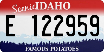 ID license plate E122959