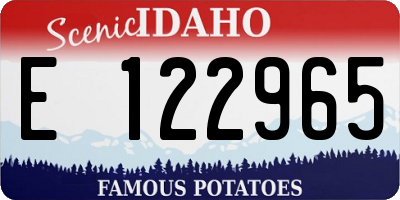 ID license plate E122965