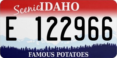 ID license plate E122966