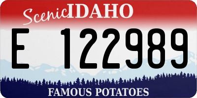 ID license plate E122989