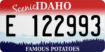 ID license plate E122993