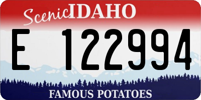 ID license plate E122994