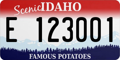 ID license plate E123001