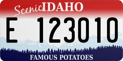 ID license plate E123010