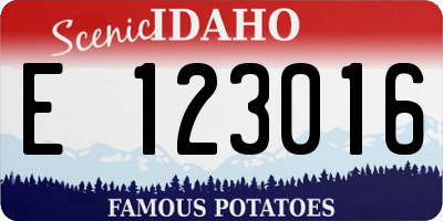 ID license plate E123016