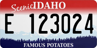 ID license plate E123024